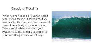 Calming Your Nervous System Emotional Flooding [upl. by Cinda51]