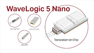 WaveLogic 5 Nano Addressing the broadest range of networking applications from coherent pluggables [upl. by Weidar]