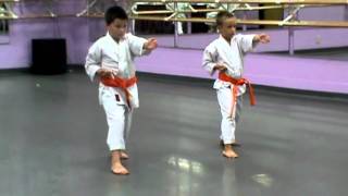 Karate  green belt exam [upl. by Lalad]