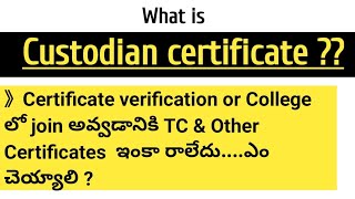 What is Custodian certificateCustodian certificate [upl. by Irot235]