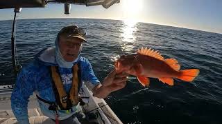 422024 My rockfish opener at the Whistler Buoy [upl. by Nawotna]