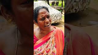 எந்த விதத்தில் சொந்தக்காரங்க comedy panamatta funny fun reels [upl. by Ariaet]