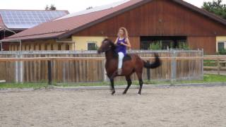 Gebissloses Reiten MashaampJanina [upl. by Gnem]