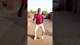 Dr Ngwazi Fake Lovequot featuring Dr Tawanda Tiktok dance [upl. by Araihc]