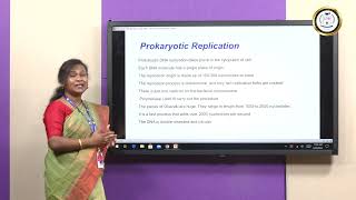 DNA Replication in Prokaryotes vs Eukaryotes  Ms Jesia Persis Preethi N [upl. by Yrocal]