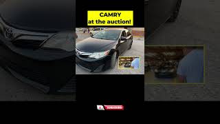 Toyota Auction Thrills Camry for the win Swing or Miss 🏁🚗 subastadecarros [upl. by Eatnoed]