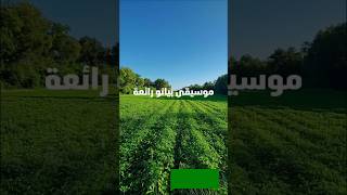 أرح سمعك بموسيقى البيانو الهادئة 😴 موسيقى بيانو موسيقىهادئة [upl. by Atikan]