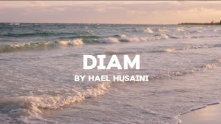 Diam by hael husaini with lyrics [upl. by Rennold328]