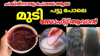 ഒറ്റ use ഇൽ Dry മുടി സോഫ്റ്റ്‌ ആക്കാം Tips for Dry Hair Soft and Silky Hair Natural Conditioner [upl. by Ahsenyt718]