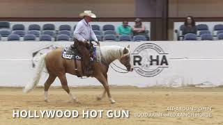 2023 APHA World Show AllAround Open Solid PaintBred Ranch Horse [upl. by Andrey]