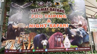 Zoo Taiping amp Night Safari  Kenali Haiwan di Zoo Taiping  Alam Haiwan [upl. by Yrrem]