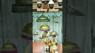 Radhey radheyGovind devji jaipur music song love trending artist trendingshorts [upl. by Jelle]