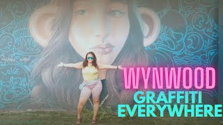 Wynwood Miami Graffiti District Vlog amp Review [upl. by Willett]