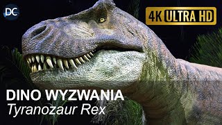 Dino wyzwania  Tyranozaur Rex  Trex  4K  Śmieszne dinozaury  Dinozaury ciekawostki  Animacja [upl. by Gertrude463]