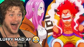 EGG HEAD ISLAND REVEALED REACTION One Piece 1091 Reaction [upl. by Anomas81]