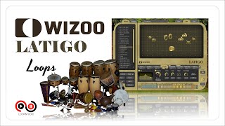 Wizoo Latigo [upl. by Hibbert506]