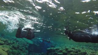 Snorkeling between American and European tectonic plates  Silfra Iceland [upl. by Trebla]