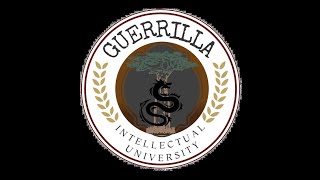 Guerrilla Intellectual University Dr Felicia Denaud [upl. by Llecrad]