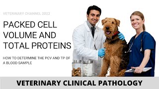 HOW TO DETERMINE PACKED CELL VOLUME AND TOTAL PROTEINS [upl. by Troxell]