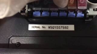 Epson Expression XP960 CIS Installation T277 Sponge Cartridge [upl. by Aala489]