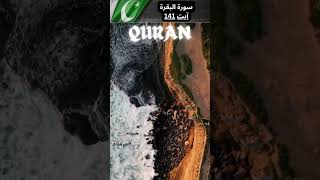 Surah Baqarah Ayat 141 islam quran quranurdurecitation qurantranslation islamicholybook [upl. by Romie]