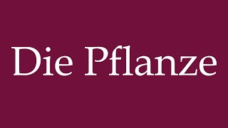 How to Pronounce Die Pflanze The Plant Correctly in German [upl. by Pesek]