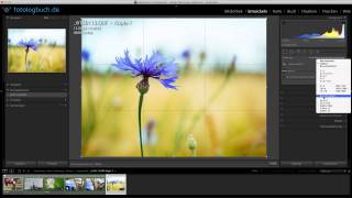 Lightroom Quicktipp  Fotos elegant pixelgenau beschneiden [upl. by Eneres]