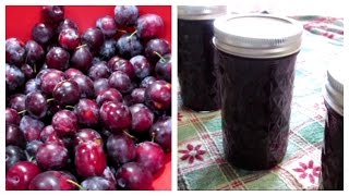 How to make Plum Jam  Canning Done Easy [upl. by Cinderella]