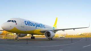 A320 Landing  Taxi At Iloilo Int Airport [upl. by Adair]