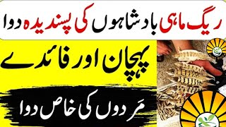 Raig mahi benefits  Men power tips Dysfunction Treatment  Dry Fruit Market  musalman pakistan [upl. by Irat]