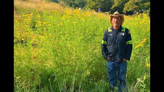 Untermyer Gardens Conservancy Meadow Making With Timothy Tilghman [upl. by Chen]