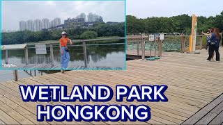 Wetland Park Hongkong [upl. by Marena]