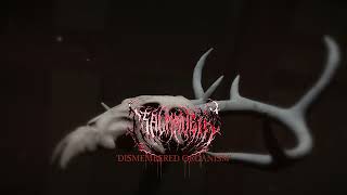 TSALMAVETH  DISMEMBERED ORGANISM 2024 NEW SINGLE [upl. by Ardekan]