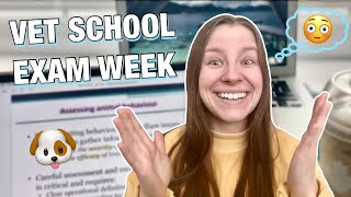 VET SCHOOL FINAL EXAM VLOG part 2 What being a vet student is like during exams 🩺 [upl. by Schram400]