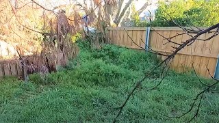 Fixing an Overgrown Mess  Garden Transformation [upl. by Adlog]