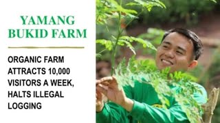 YAMANG BUKID  AN ORGANIC FARM IN PALAWAN WITH 10000 VISITORS PER WEEK THAT HALTS ILLEGAL LOGGING [upl. by Etteraj747]