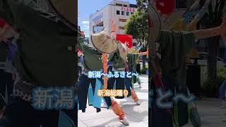 【新潟イベント】新潟県 新潟総踊り にいがた総おどり ふるさと合同連ダンスよさこい新潟駅南 心躍る [upl. by Thain]