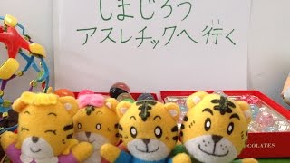 Soraのしまじろうものがたり（5）アスレチックへ行く シルバニアファミリー こどもちゃれんじ玩具で遊ぶ shimajiro story [upl. by Werdnaed221]