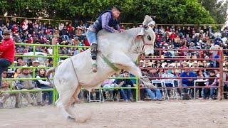 Varios Ex Destructores  Los Indestructibles H3H y La Seleccion Poderosa en Atapaneo Michoacan 2018 [upl. by Emera]