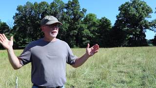 Beginner Tips for Raising Grassfed Beef [upl. by Ahsitruc]