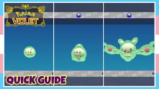 How To Evolve Solosis Into Duosion Into Reuniclus In Pokemon Scarlet amp Violet  Quick Guide [upl. by Mickey810]