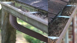 DIY How to Clean Your Gutters Safely  Gutterman Services Inc [upl. by Lance]