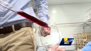 Maryland Wine Festival takes place in Carroll County [upl. by Nilyad]