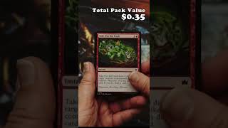 Magic the Gathering Bloomburrow  Play Booster Opening cardpackopening [upl. by Lowenstern]