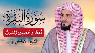 Sourate Al Baqarah  Cheikh Mohamed Raad Al Kurdi  سورة البقرة كاملة للقارئ الشيخ رعد محمد الكردي [upl. by Nitsraek250]