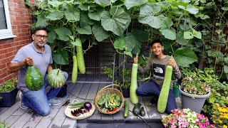 Harvesting Deshi Vegetables In Uk 2021 [upl. by Radbourne516]