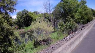 Pendleton Oregon RiverWalk River Parkway [upl. by Aronoh975]