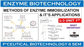 Methods Of Enzyme Immobilization  L3 U1  Pharmaceutical Biotechnology 6th sem [upl. by Rennerb242]