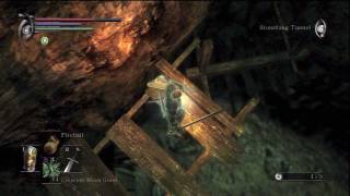 Demons Souls Shortcut to Flamelurker boss battle World 22 [upl. by Nylsirhc]