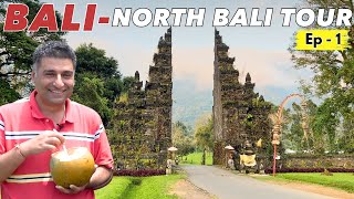 EP  1 Exploring North Bali Indonesia  Leke Leke falls Jatiluwih Rice Terrace Ulun Danu Temple [upl. by Nealy211]